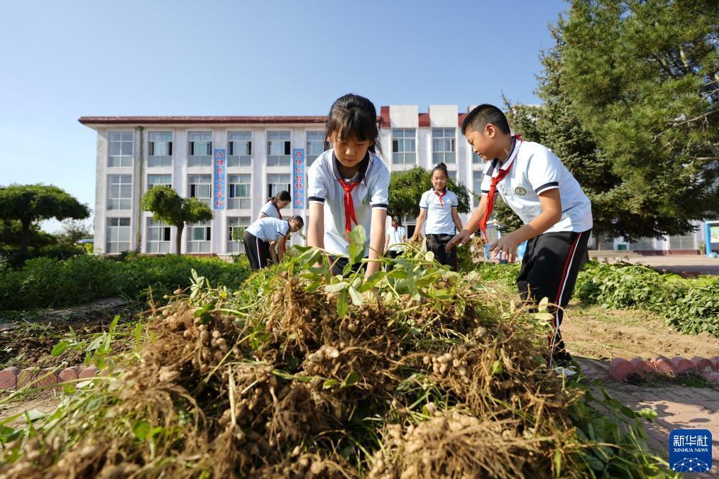 99游戏软件下载